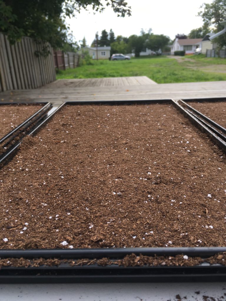 Compressed flat level soil bed after soil tamper