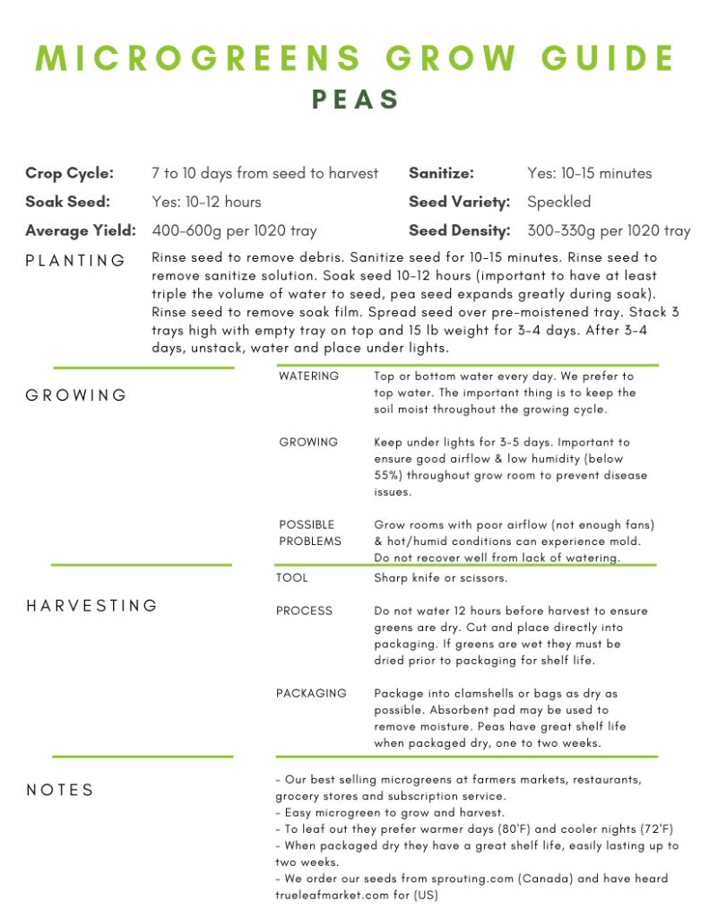 Microgreens Grow Guide Peas Image